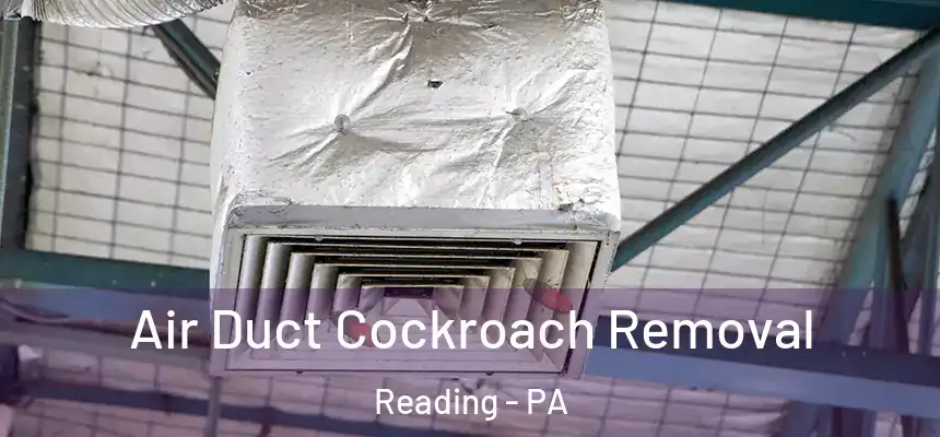  Air Duct Cockroach Removal Reading - PA