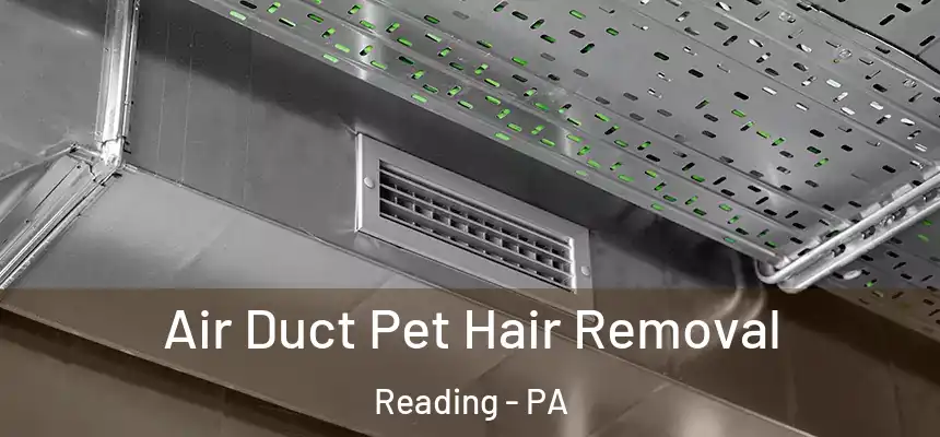 Air Duct Pet Hair Removal Reading - PA