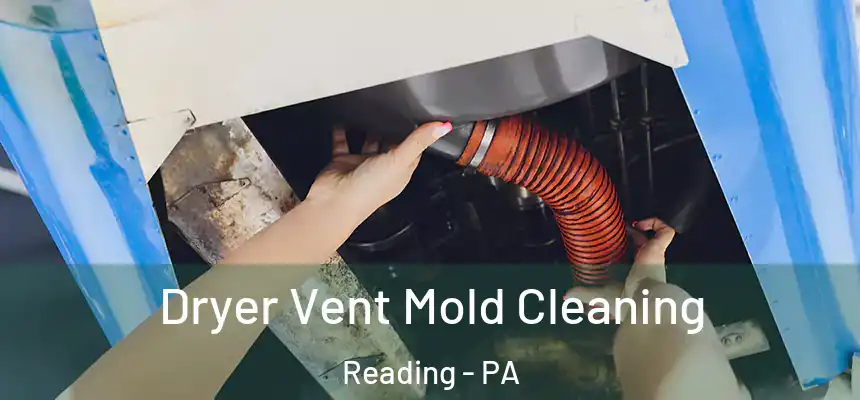 Dryer Vent Mold Cleaning Reading - PA