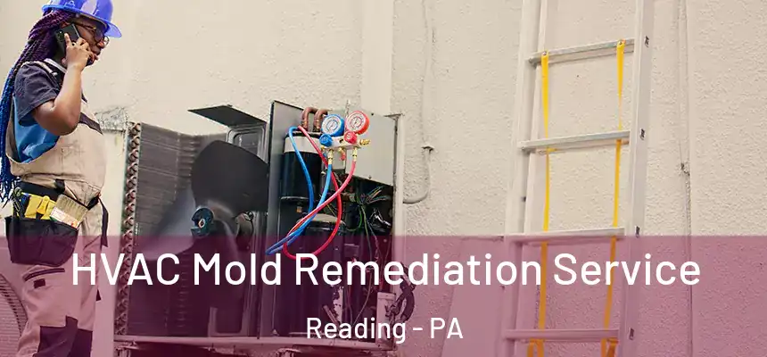  HVAC Mold Remediation Service Reading - PA