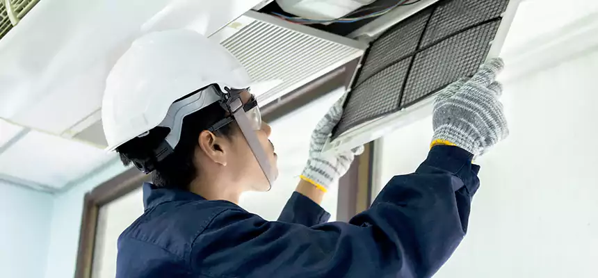 Our Mold & Mildew Removal from Air Ducts Services in Reading, PA