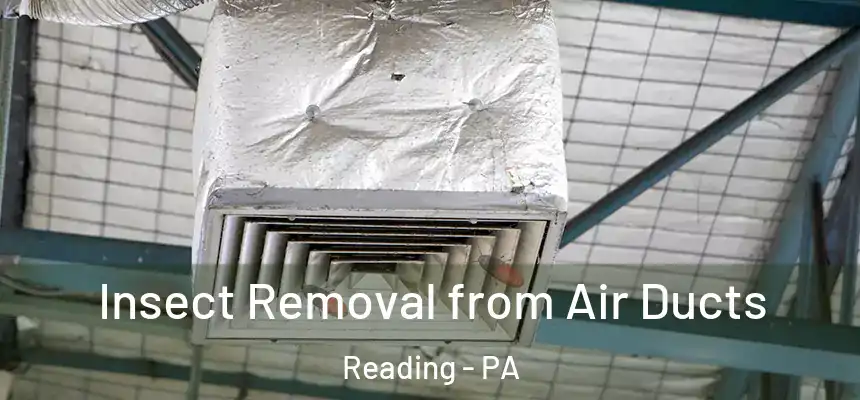 Insect Removal from Air Ducts Reading - PA