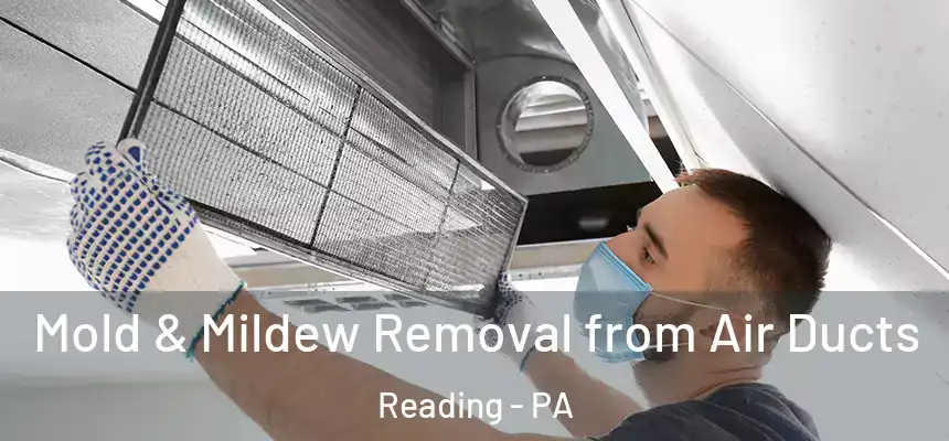  Mold & Mildew Removal from Air Ducts Reading - PA