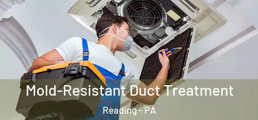 Mold-Resistant Duct Treatment Reading - PA