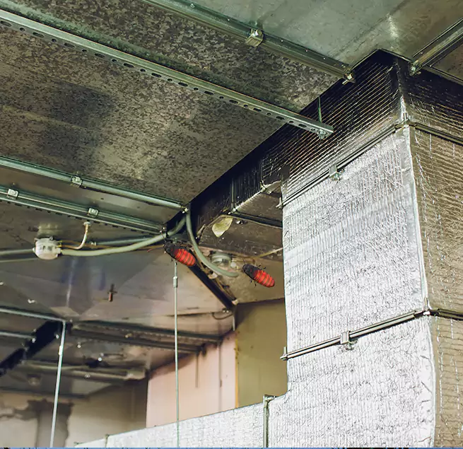 Why Homeowners & Businesses Trust Us in Reading, PA?