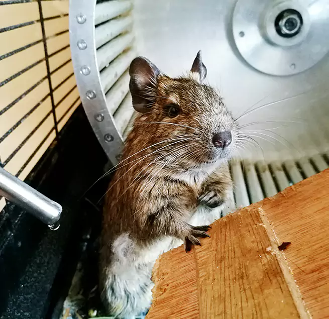 Why Homeowners & Businesses Trust Us Reading, PA?