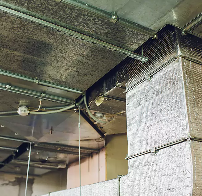 Why Homeowners & Businesses Trust Us in Reading, PA?